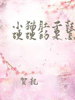 小猫肚子鼓鼓的硬硬的是怎么回事