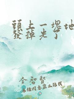 头上一块地方头发掉光了