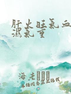 肝火旺气血两虚湿气重