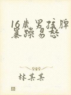 16岁男孩脾气暴躁易怒