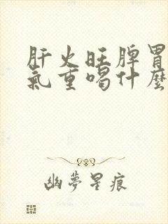 肝火旺脾胃虚湿气重喝什么茶