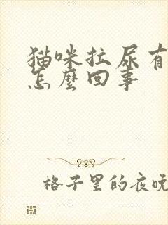 猫咪拉尿有血是怎么回事