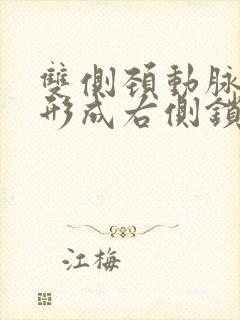 双侧颈动脉斑块形成右侧锁骨下动脉斑块形成