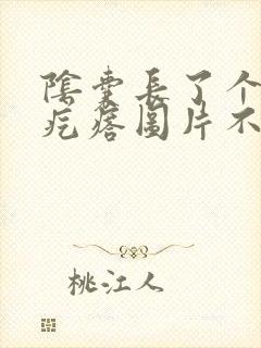 阴囊长了个小硬疙瘩图片不痛不痒