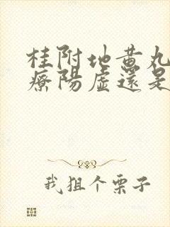 桂附地黄丸是治疗阳虚还是阴虚的