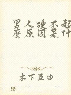 男人硬不起来什么原因是什么导致