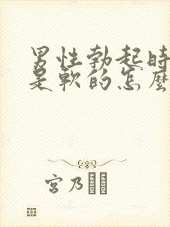 男性勃起时蛋蛋是软的怎么办