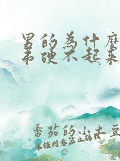 男的为什么小弟弟硬不起来呢