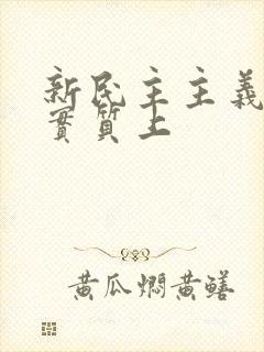 新民主主义革命实质上