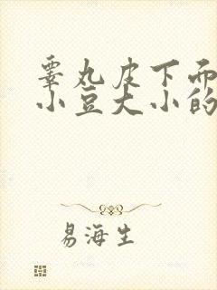 睾丸皮下面有个小豆大小的硬疙瘩