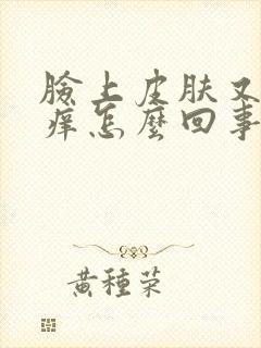 脸上皮肤又干又痒怎么回事