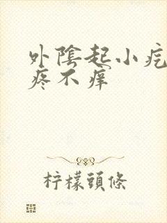 外阴起小疙瘩不疼不痒