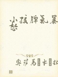 小孩脾气暴躁易怒