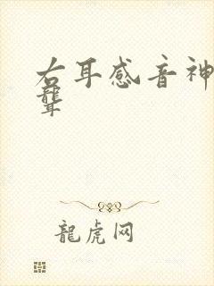 右耳感音神经性聋