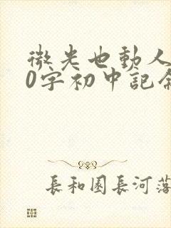 微光也动人800字初中记叙文