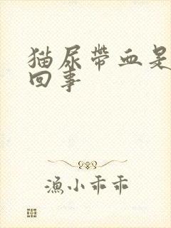 猫尿带血是怎么回事