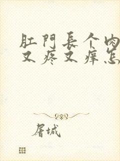 肛门长个肉疙瘩又疼又痒怎么回事