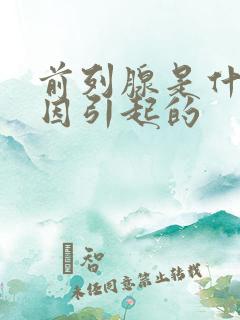 前列腺是什么原因引起的