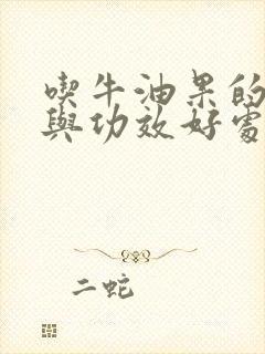 吃牛油果的好处与功效好处