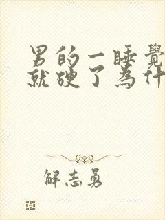 男的一睡觉下面就硬了为什么