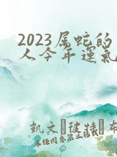 2023属蛇的人今年运气怎么样