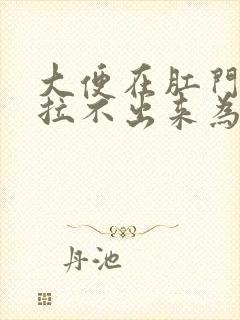 大便在肛门口就拉不出来为什么