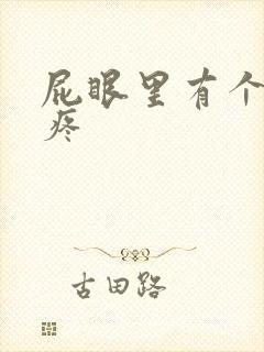 屁眼里有个肉球疼