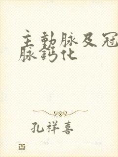 主动脉及冠状动脉钙化