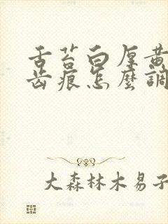 舌苔白厚黄腻有齿痕怎么调理