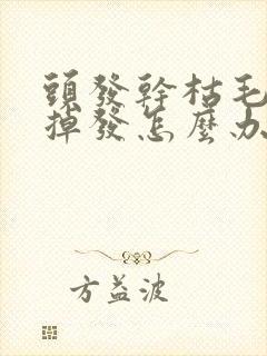 头发干枯毛燥又掉发怎么办