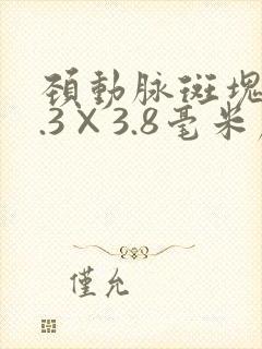 颈动脉斑块12.3×3.8毫米严重吗