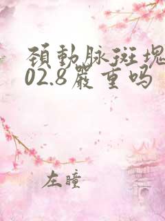 颈动脉斑块9.02.8严重吗