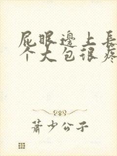 屁眼边上长了一个大包很疼