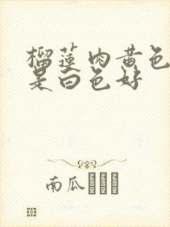 榴莲肉黄色好还是白色好