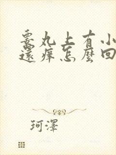 睾丸上有小疙瘩还痒怎么回事