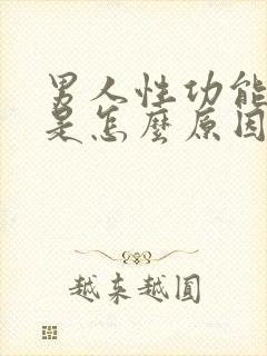 男人性功能不行是怎么原因