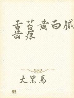 舌苔黄白腻厚有齿痕