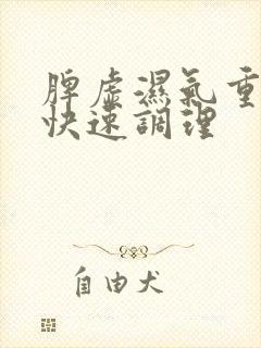 脾虚湿气重怎么快速调理