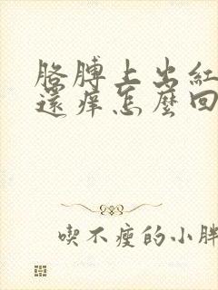 胳膊上出红豆豆还痒怎么回事