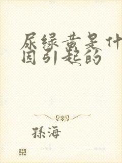 尿绿黄是什么原因引起的