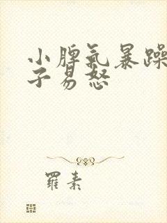 小脾气暴躁的孩子易怒