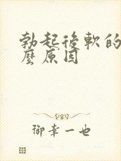 勃起后软的快什么原因