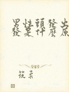 男性头发出油掉发是什么原因怎么办