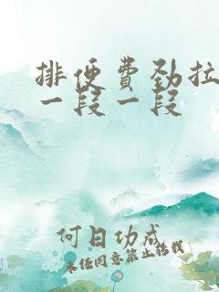 排便费劲拉出来一段一段