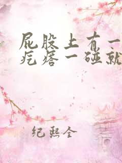 屁股上有一个硬疙瘩一碰就痛