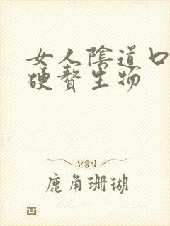 女人阴道口内有硬赘生物