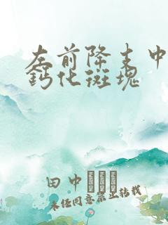 左前降支中段非钙化斑块