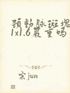 颈动脉斑块9.1x1.6严重吗