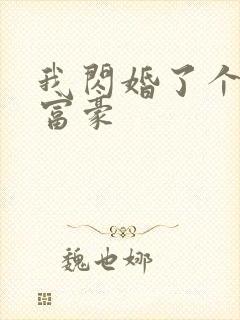 我闪婚了个亿万富豪