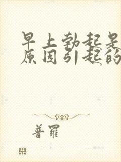 早上勃起是什么原因引起的